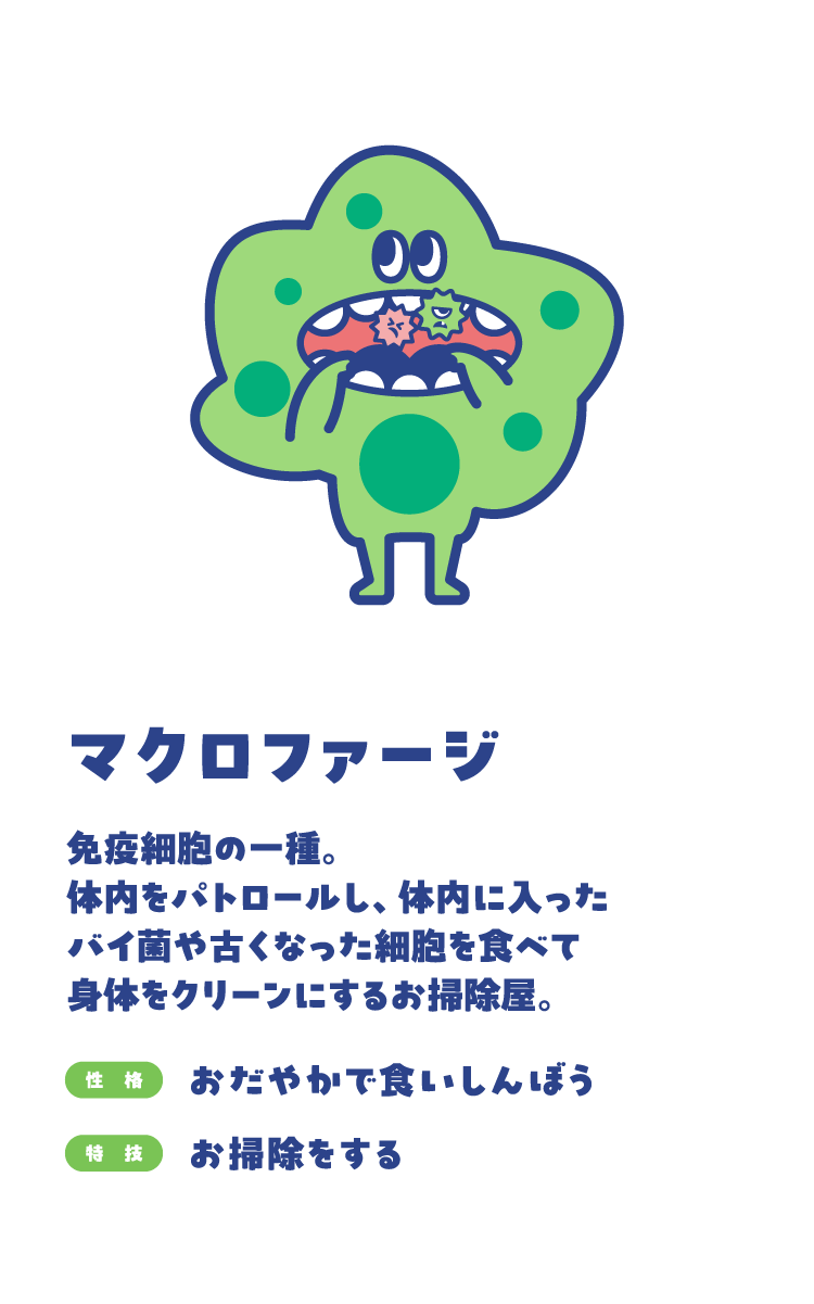 マクロファージ