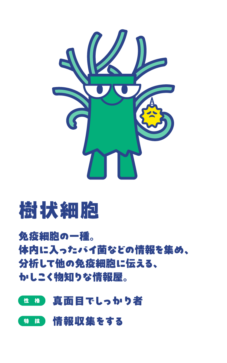 樹状細胞