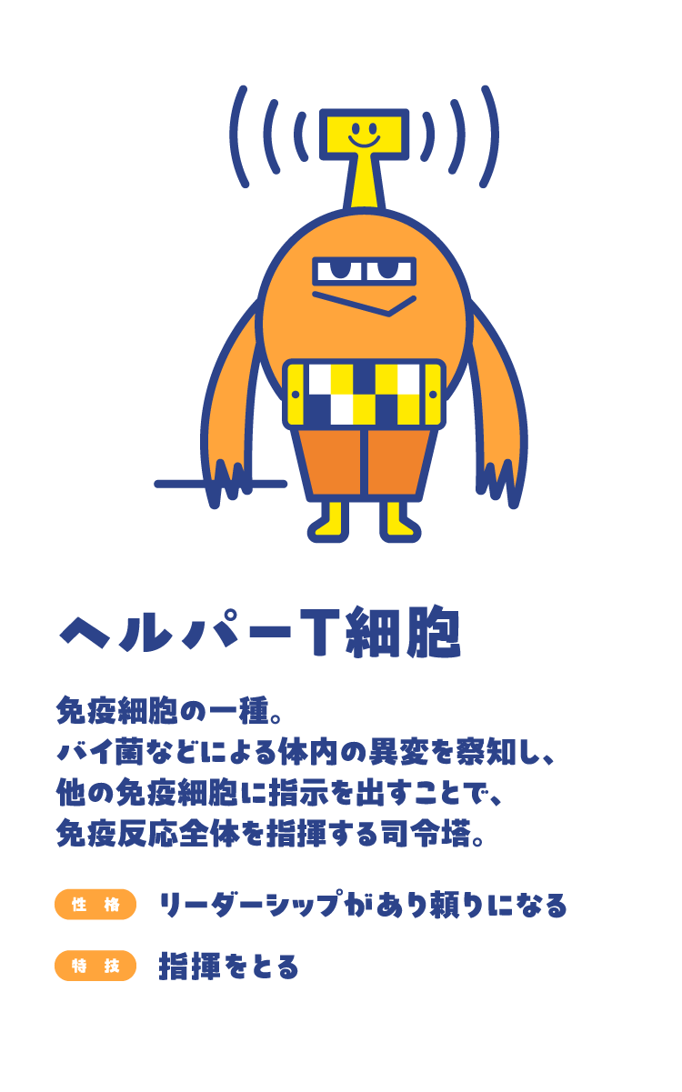 ヘルパーT細胞