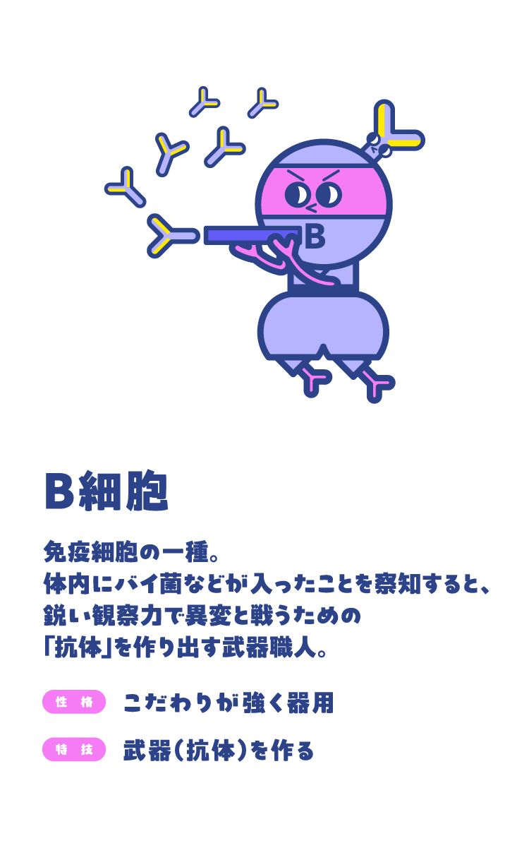 B細胞