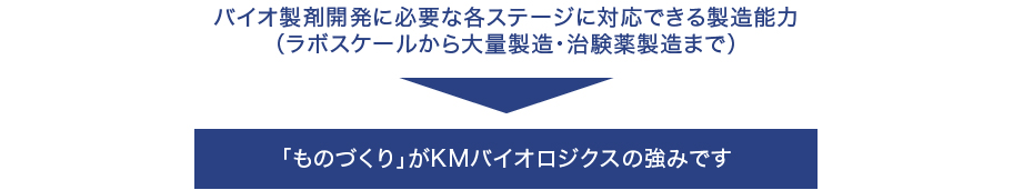 バイオ製剤開発に必要な各ステージに対応できる製造能力(ラポスケールから大量製造・治験薬製造まで)ものづくりの当社の強みです