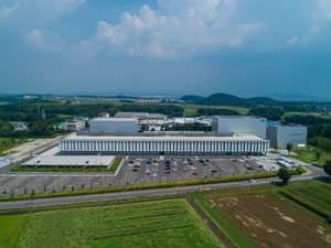 A bird's-eye view
